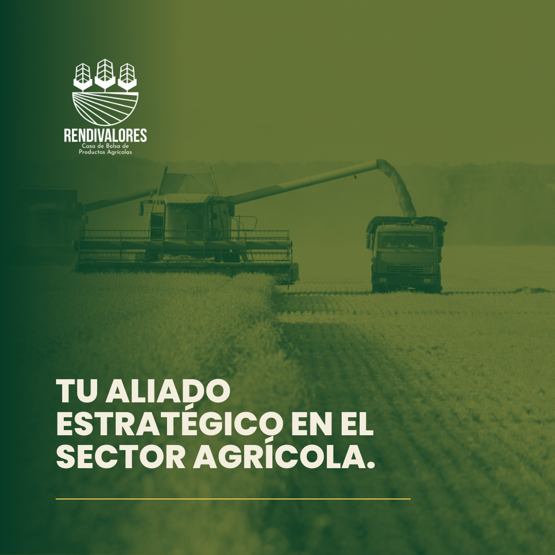 Campo Venezolano